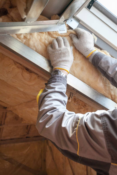 Best Eco-Friendly or Green Insulation Solutions  in Savoy, IL