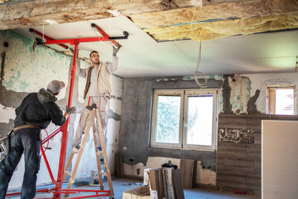 Best Wall Insulation Installation  in Savoy, IL