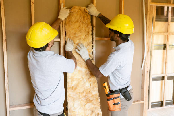 Best Spray Foam Insulation  in Savoy, IL